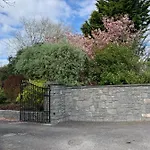 Beech Lisheenanoran