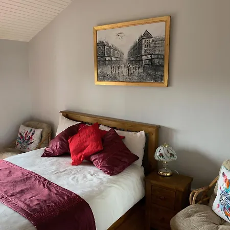 Beech * Lisheenanoran