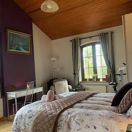 Beech Frühstückspension Lisheenanoran