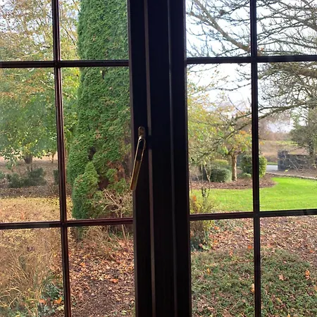 Beech Bed & Breakfast *