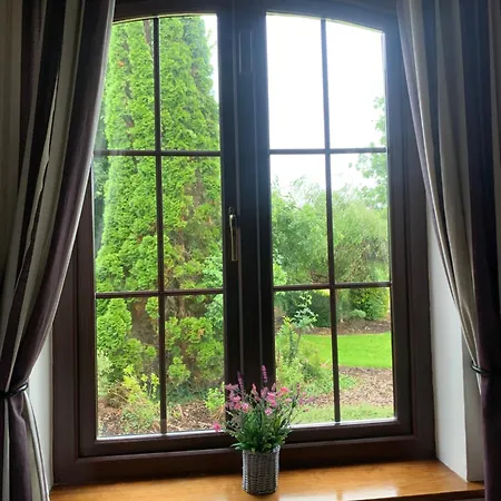 Beech * Lisheenanoran