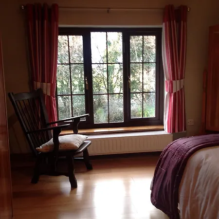 Beech * Lisheenanoran