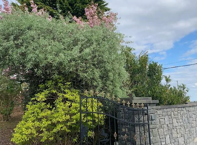 住宿加早餐酒店 Beech