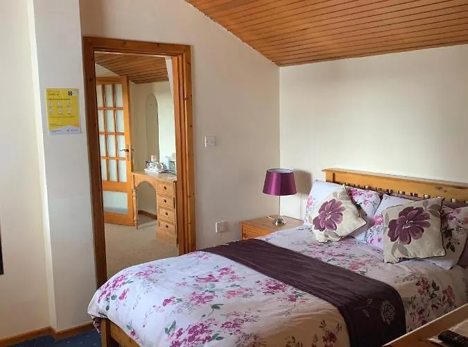 住宿加早餐酒店 Beech Lisheenanoran