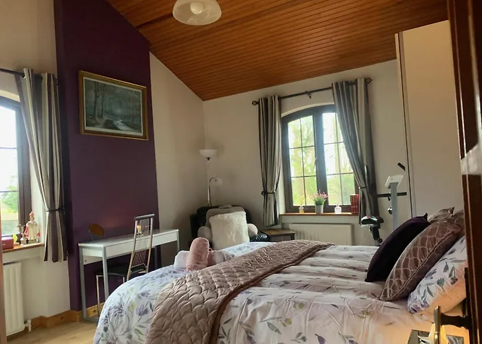 Beech 住宿加早餐酒店 Lisheenanoran