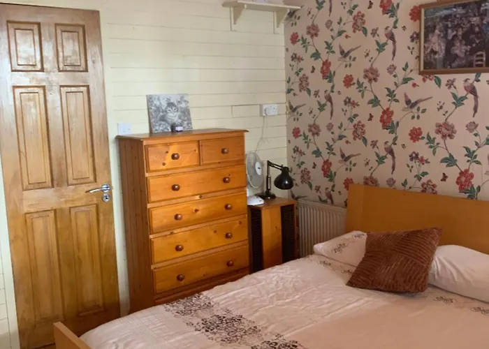 住宿加早餐酒店 Beech