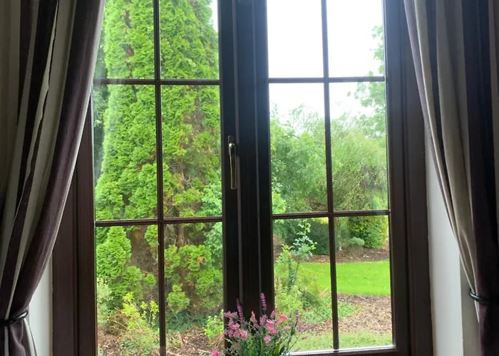 Beech * Lisheenanoran