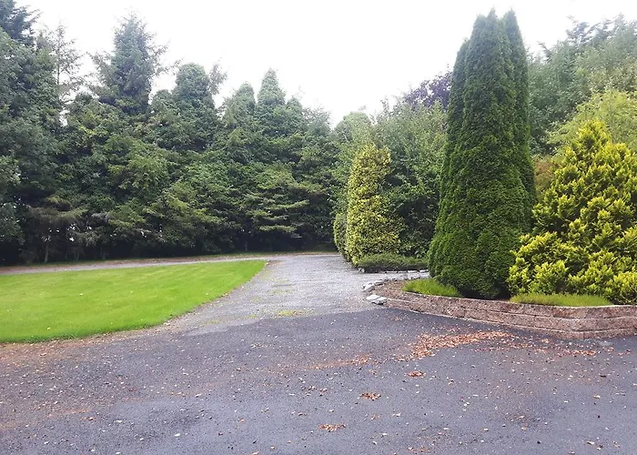 住宿加早餐酒店 Beech *