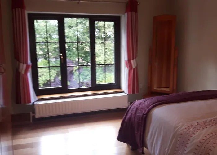 Beech 住宿加早餐酒店 *