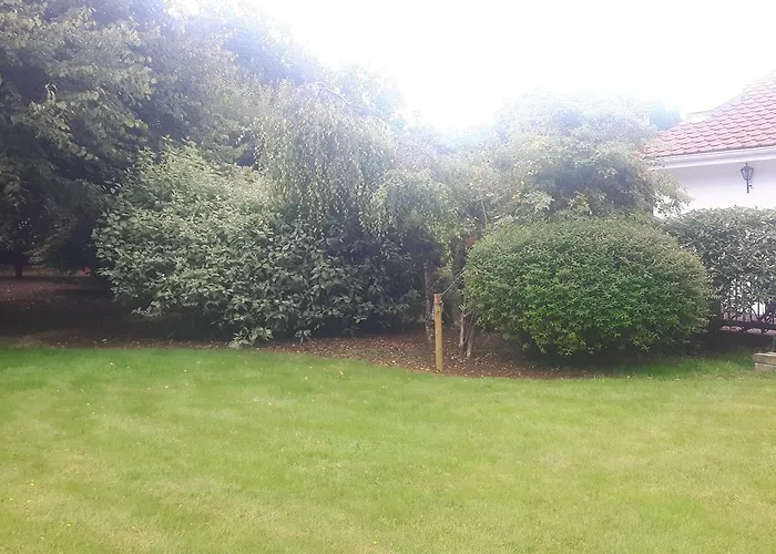 住宿加早餐酒店 Beech Lisheenanoran