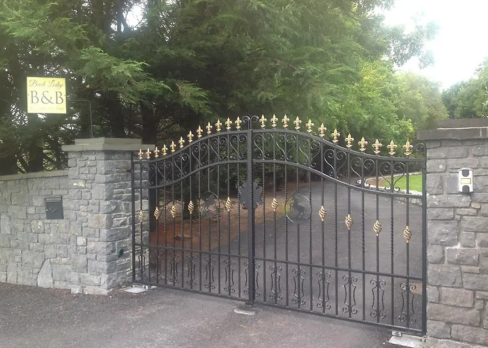 Beech * Lisheenanoran