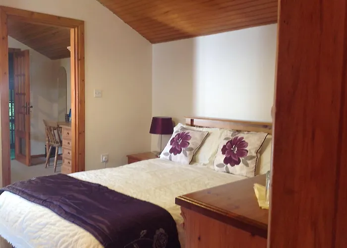 住宿加早餐酒店 Beech Lisheenanoran