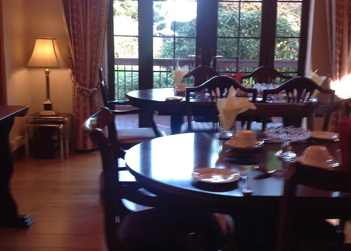 Beech * Lisheenanoran