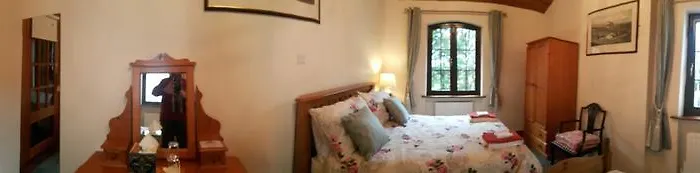 Beech * Lisheenanoran